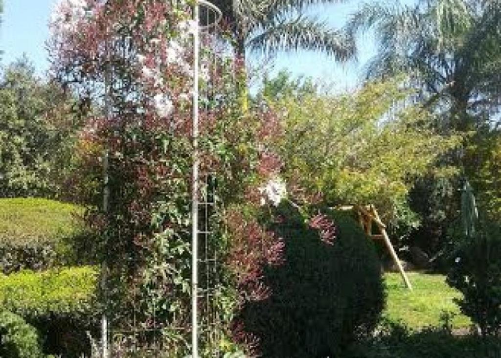 הוילה מושב רמות החצר המוסיקלית חדר תמונה